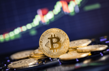 Могут ли Bitcoin и Dogecoin все еще создавать миллионеров?